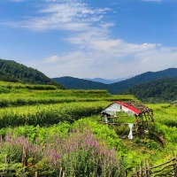 روستای دیزکوه